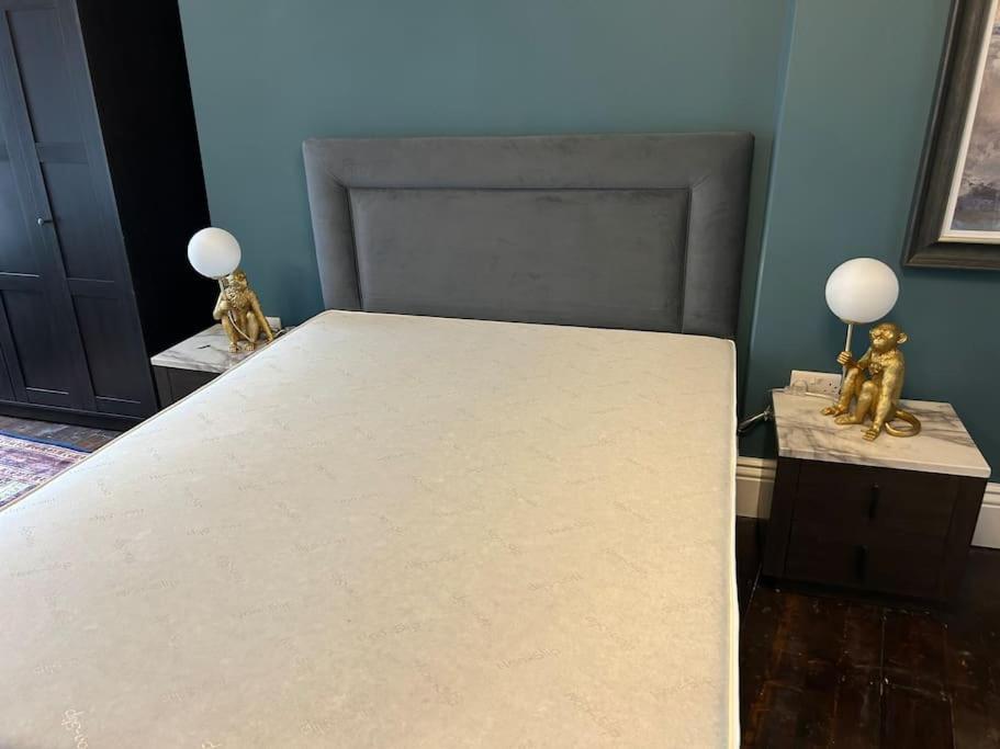Patrick Street Townhouse Apartment Корк Екстериор снимка